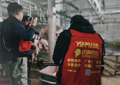 &#27431;&#27954;&#26479;&#19979;&#27880;&#40;&#20013;&#22269;&#41;&#23448;&#26041;&#32593;&#31449;
